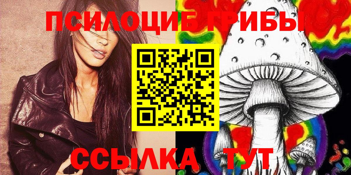 Псилоцибиновые грибы прущие грибы Томск